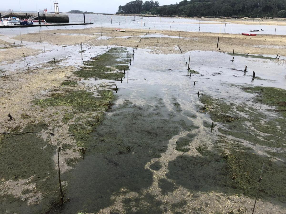Alojamientos Rias Baixas- Casa Castillejos- Carril Pontevedra Kültér fotó